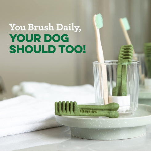 Greenies Original Regular Natural Dental Care Dog Treats, 12 oz. Pack (12 Treats)...